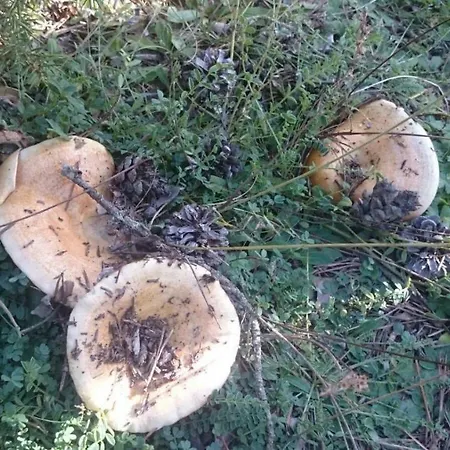 Casa La Era Hétvégi ház