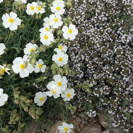 Hétvégi ház Casa La Era Nogueruelas