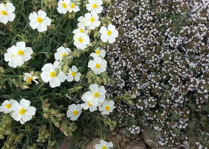 Casa di campagna Casa La Era Nogueruelas